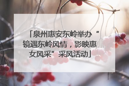 泉州惠安东岭举办“镜遇东岭风情，影映惠女风采”采风活动
