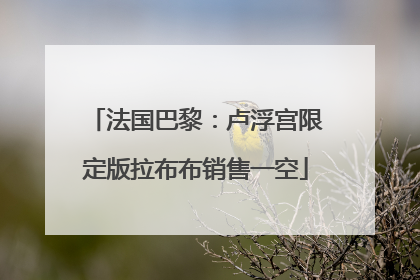 法国巴黎：卢浮宫限定版拉布布销售一空
