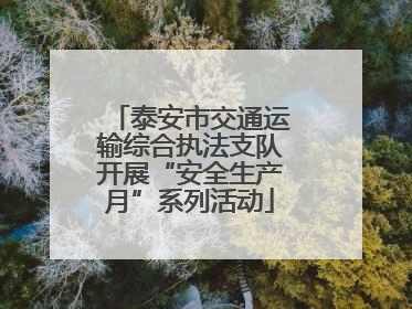 泰安市交通运输综合执法支队开展“安全生产月”系列活动