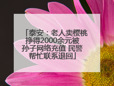 泰安：老人卖樱桃挣得2000余元被孙子网络充值 民警帮忙联系退回