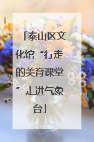 泰山区文化馆“行走的美育课堂”走进气象台