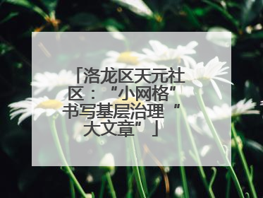 洛龙区天元社区：“小网格”书写基层治理“大文章”