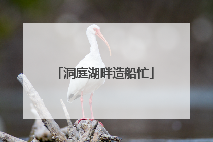 洞庭湖畔造船忙
