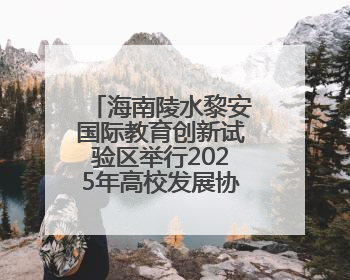 海南陵水黎安国际教育创新试验区举行2025年高校发展协同圆桌会会议