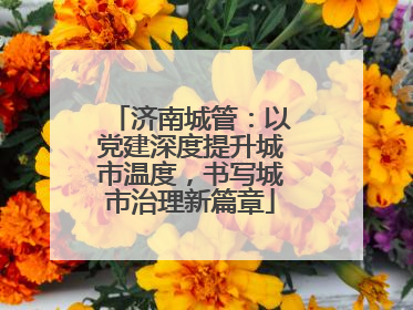 济南城管：以党建深度提升城市温度，书写城市治理新篇章