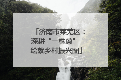 济南市莱芜区：深耕“一株桑” 绘就乡村振兴图