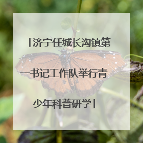 济宁任城长沟镇第一书记工作队举行青少年科普研学