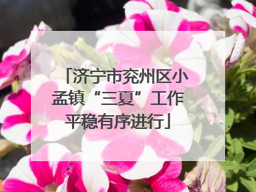 济宁市兖州区小孟镇“三夏”工作平稳有序进行