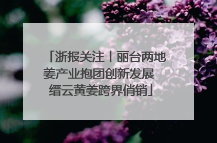 浙报关注丨丽台两地姜产业抱团创新发展 缙云黄姜跨界俏销