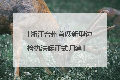 浙江台州首艘新型边检执法艇正式归建