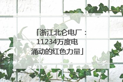 浙江北仑电厂：11234万度电涌动的红色力量