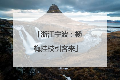 浙江宁波：杨梅挂枝引客来