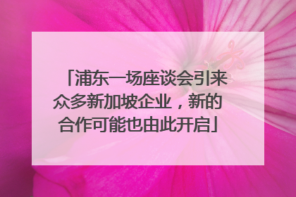 浦东一场座谈会引来众多新加坡企业，新的合作可能也由此开启