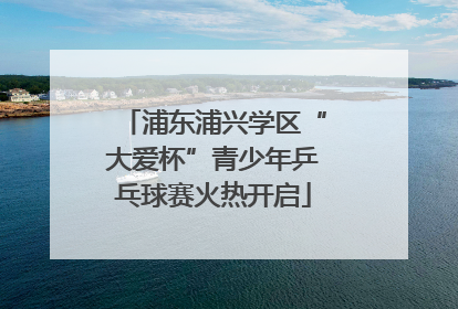 浦东浦兴学区“大爱杯”青少年乒乓球赛火热开启