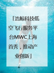 浩鲸科技低空飞行服务平台MWC上海首秀，推动产业创新
