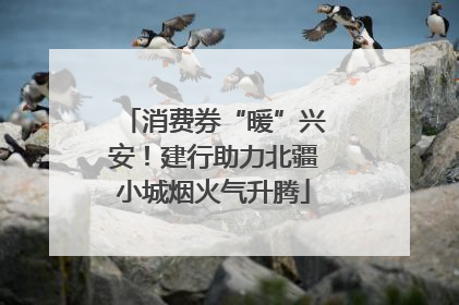 消费券“暖”兴安！建行助力北疆小城烟火气升腾