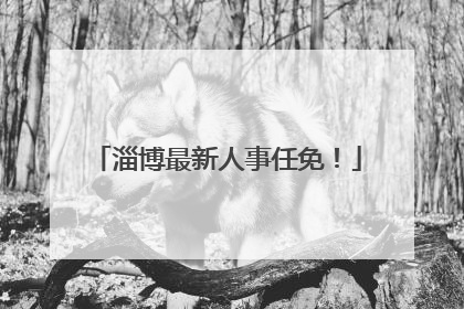 淄博最新人事任免！