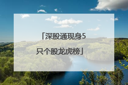 深股通现身5只个股龙虎榜