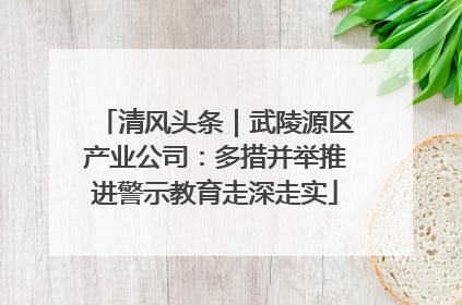 清风头条｜武陵源区产业公司：多措并举推进警示教育走深走实