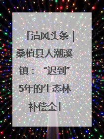 清风头条｜桑植县人潮溪镇：“迟到”5年的生态林补偿金