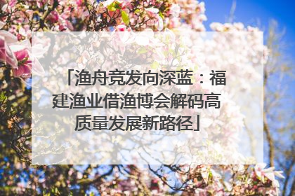 渔舟竞发向深蓝：福建渔业借渔博会解码高质量发展新路径