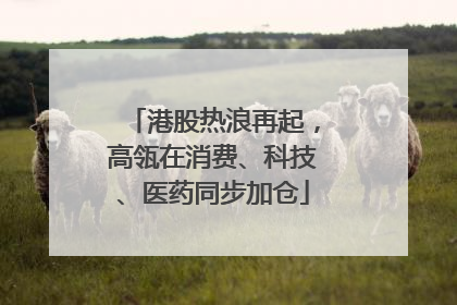 港股热浪再起，高瓴在消费、科技、医药同步加仓