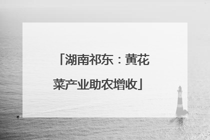 湖南祁东：黄花菜产业助农增收