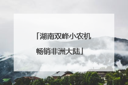 湖南双峰小农机畅销非洲大陆