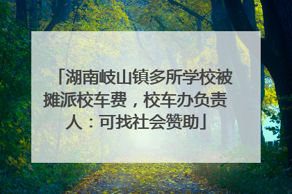 湖南岐山镇多所学校被摊派校车费，校车办负责人：可找社会赞助