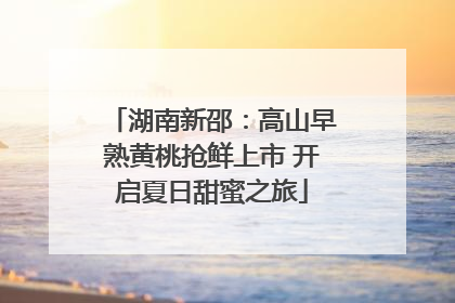 湖南新邵：高山早熟黄桃抢鲜上市 开启夏日甜蜜之旅