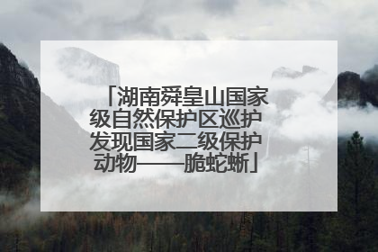 湖南舜皇山国家级自然保护区巡护发现国家二级保护动物——脆蛇蜥