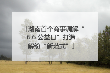 湖南首个商事调解“6.6 公益日”打造解纷“新范式”