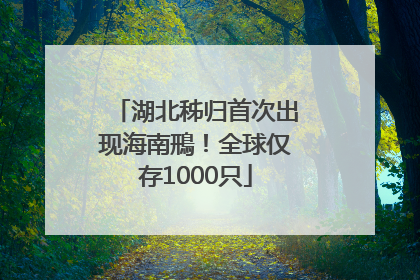 湖北秭归首次出现海南鳽！全球仅存1000只