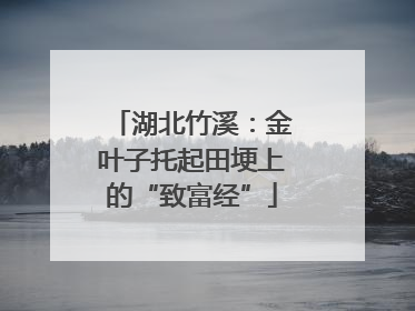 湖北竹溪：金叶子托起田埂上的“致富经”