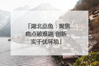 湖北嘉鱼：聚焦痛点破难题 创新实干优环境