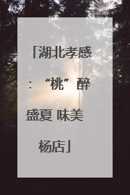 湖北孝感：“桃”醉盛夏 味美杨店