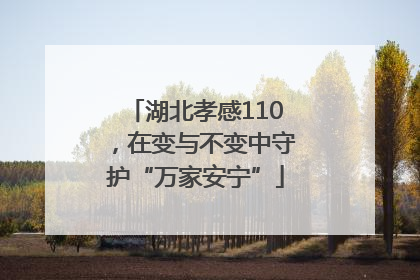 湖北孝感110，在变与不变中守护“万家安宁”