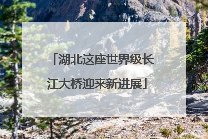 湖北这座世界级长江大桥迎来新进展