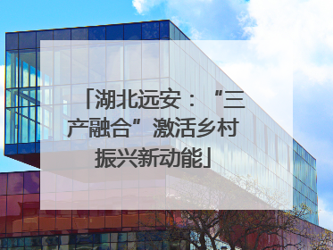 湖北远安：“三产融合”激活乡村振兴新动能