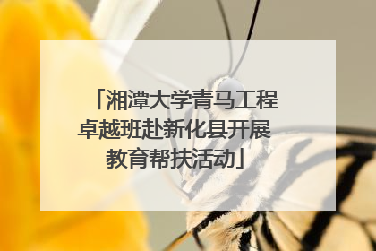 湘潭大学青马工程卓越班赴新化县开展教育帮扶活动