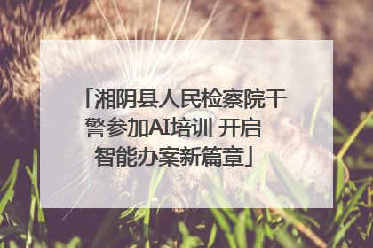 湘阴县人民检察院干警参加AI培训 开启智能办案新篇章