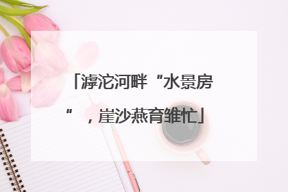 滹沱河畔“水景房”，崖沙燕育雏忙