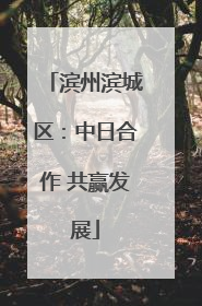 滨州滨城区：中日合作 共赢发展