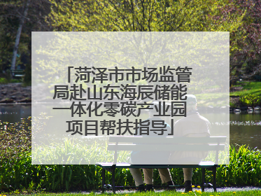 菏泽市市场监管局赴山东海辰储能一体化零碳产业园项目帮扶指导