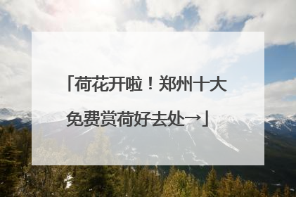 荷花开啦！郑州十大免费赏荷好去处→