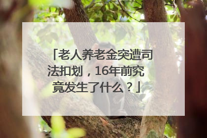 老人养老金突遭司法扣划，16年前究竟发生了什么？