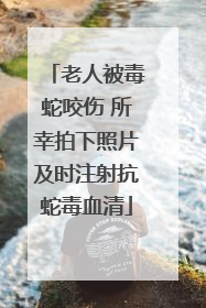 老人被毒蛇咬伤 所幸拍下照片及时注射抗蛇毒血清