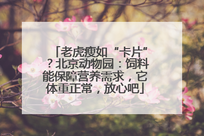 老虎瘦如“卡片”？北京动物园：饲料能保障营养需求，它体重正常，放心吧