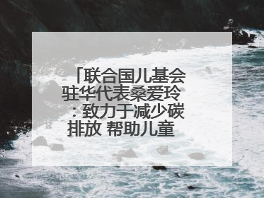 联合国儿基会驻华代表桑爱玲：致力于减少碳排放 帮助儿童适应气候变化