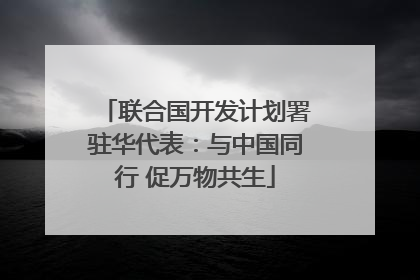 联合国开发计划署驻华代表：与中国同行 促万物共生